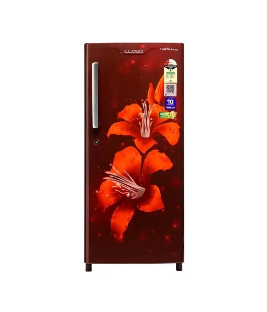 LLOYD FRIDGE DC GLDS202ALWCF DC 185 2S TG LILLY WINE